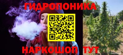 эйфоретик Бузулук