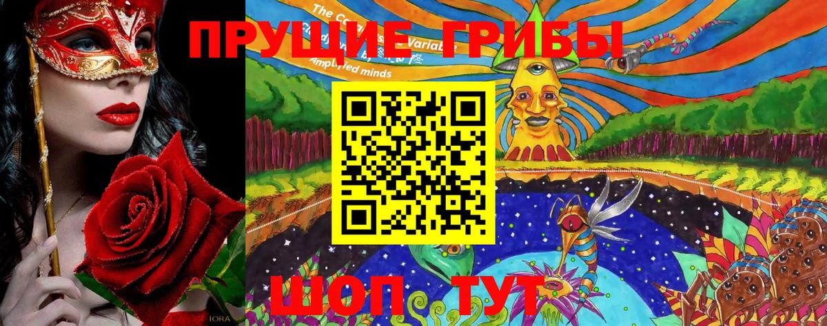 Галлюциногенные грибы Psilocybe  Вход с VPN  Нягань 
