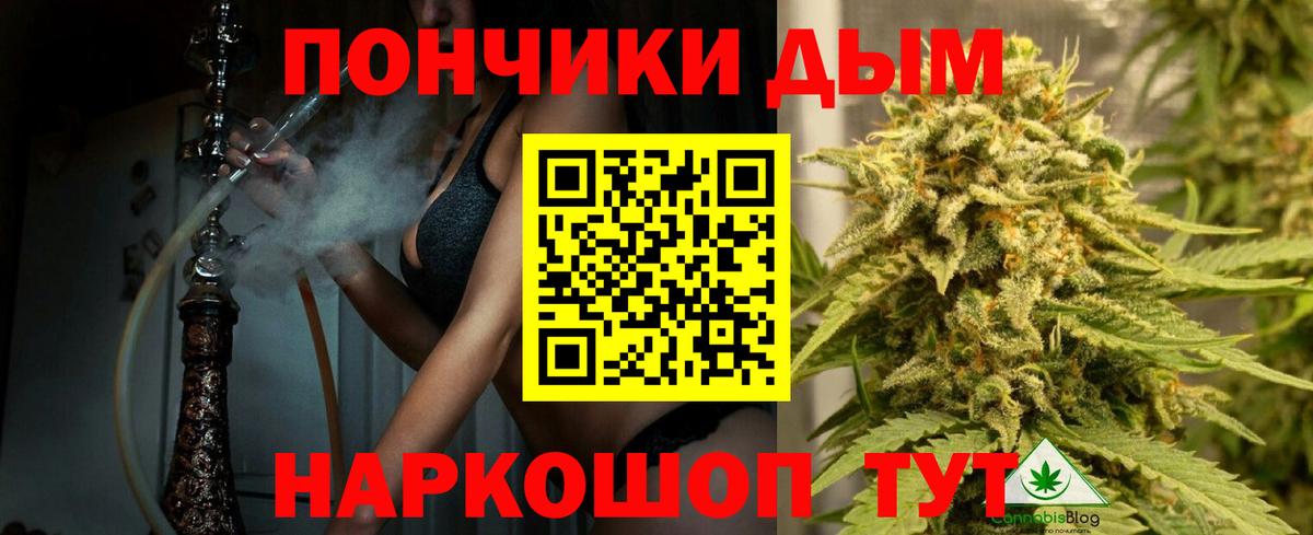 Шишки марихуана марихуана Нягань